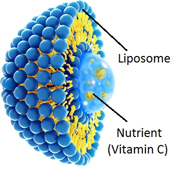  vitamin c lipo-sachets image vitamin c lipo-sachets image vitamin c lipo-sachets